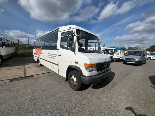 Mercedes-Benz Vario 0813 (Stock ID 30995)
