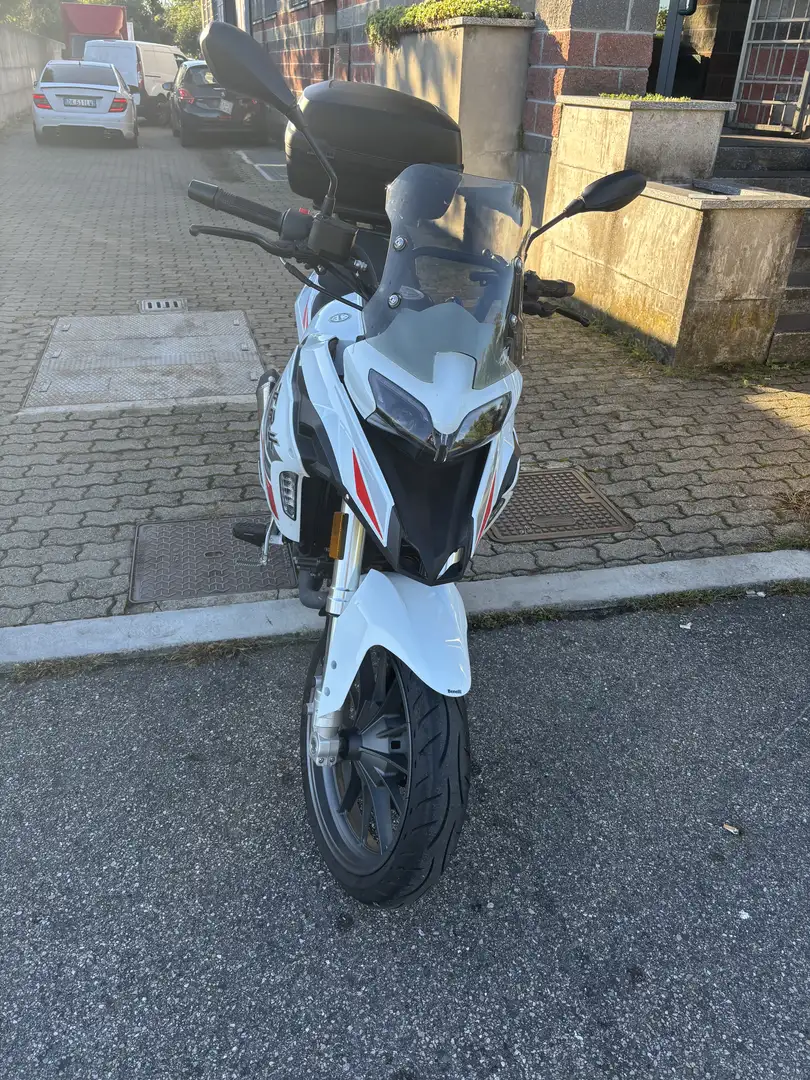 Benelli TRK 251 N3002 - 1