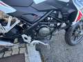 Benelli TRK 251 N3002 - thumbnail 6