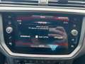 SEAT Ibiza 1.5 TSI EVO FR Business Intense, Clima, Apple carp Rot - thumbnail 15