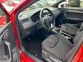 SEAT Ibiza 1.5 TSI EVO FR Business Intense, Clima, Apple carp Rot - thumbnail 5