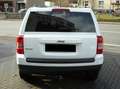 Jeep Patriot Patriot Diesel 2.2 CRD DPF 4x4 Sport Euro 5 Blanc - thumbnail 7
