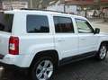 Jeep Patriot Patriot Diesel 2.2 CRD DPF 4x4 Sport Euro 5 Blanc - thumbnail 8