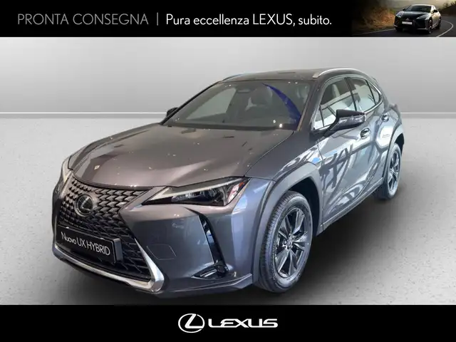 Lexus UX 300h 300h 2.0 urban 2wd 152cv cvt
