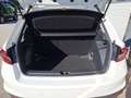 Skoda Fabia Ambition Weiß - thumbnail 4