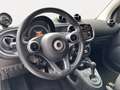 smart forTwo 70 1.0 twinamic cabrio Superpassion Grigio - thumbnail 10