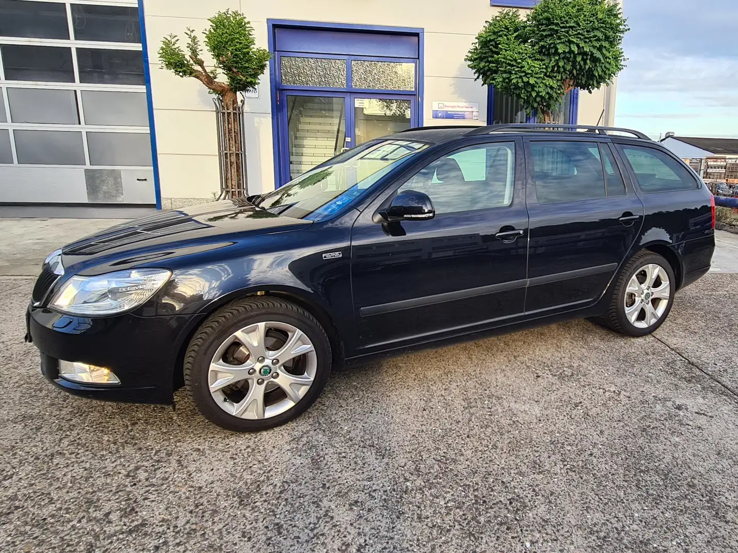 Skoda Octavia Family Negro - 2