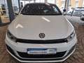 Volkswagen Scirocco Basis BMT/Start-Stopp Blanc - thumbnail 12