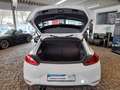 Volkswagen Scirocco Basis BMT/Start-Stopp Blanc - thumbnail 6