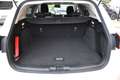 Ford Focus 1.5 EcoBlue 120CV SW AUT. **KM15000**PREZZO VERO** Bianco - thumbnail 9