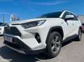 Toyota RAV 4 218HYBRIDE DYNAMIC 2WD 1ère MAIN Bianco - thumbnail 1