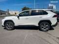 Toyota RAV 4 218HYBRIDE DYNAMIC 2WD 1ère MAIN Bianco - thumbnail 5