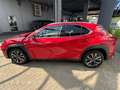Lexus UX 300h F SPORT Design *Navi*LED*CarPlay*Kamera* Rood - thumbnail 6