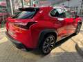 Lexus UX 300h F SPORT Design *Navi*LED*CarPlay*Kamera* Rood - thumbnail 4