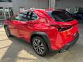 Lexus UX 300h F SPORT Design *Navi*LED*CarPlay*Kamera* Rood - thumbnail 5