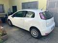Fiat Punto 3p 0.9 t-air t. Street s&s 75CV White - thumbnail 6