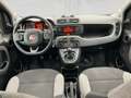 Fiat Panda City Life 70 PS Hybrid Schalter Schwarz - thumbnail 19