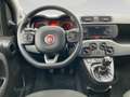 Fiat Panda City Life 70 PS Hybrid Schalter Schwarz - thumbnail 15