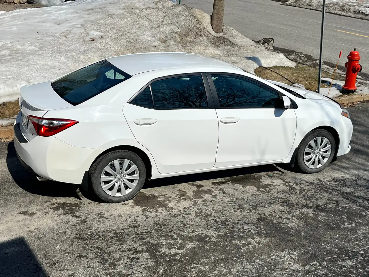 Toyota Corolla снимка Toyota Corolla