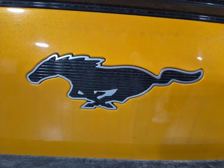 Ford Mustang Mach-E 2022, foto 29