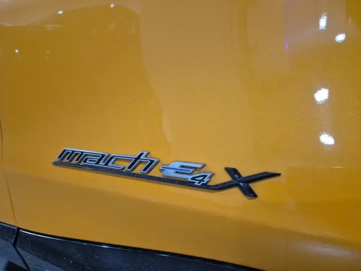 Ford Mustang Mach-E 2022, foto 27
