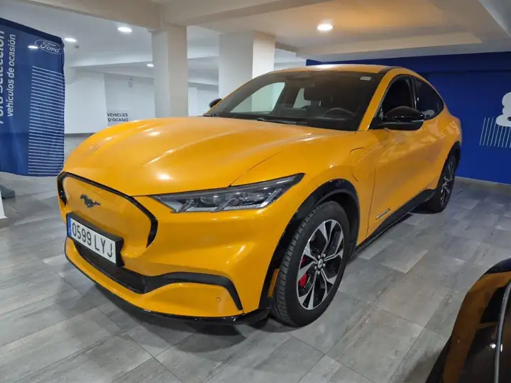Ford Mustang Mach-E 2022, foto 4