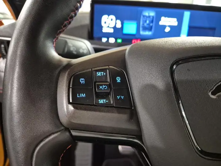 Ford Mustang Mach-E 2022, foto 14
