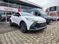 Toyota C-HR Dynamic Plus Mono-Tone Blanco - thumbnail 14