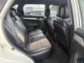 Kia Sorento 2.4 X-tra Wit - thumbnail 9