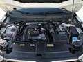 Volkswagen T-Roc Life 1.0 TSI/ LED, AppConnect, SHZ, MFLenk Weiß - thumbnail 10