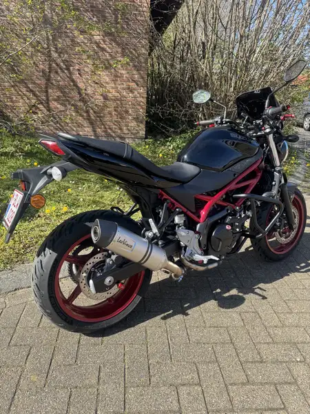 Suzuki SV 650 - foto 3