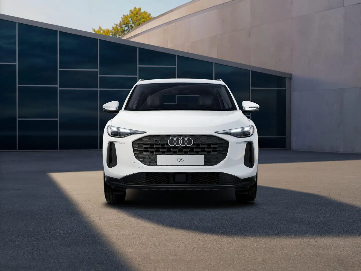 Audi Q5 2.0 TFSI e-hybrid quattro Pro Line | wordt verwach - 2