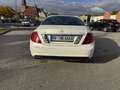 Mercedes-Benz CL 500 CL 500 BE 4Matic Grand Edition Weiß - thumbnail 6