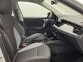 Skoda Kamiq 1,0 Selection Infotainment-Paket Swing LED Weiß - thumbnail 10