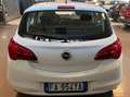 Opel Corsa Corsa V 2015 5p 1.2 b-Color White - thumbnail 8