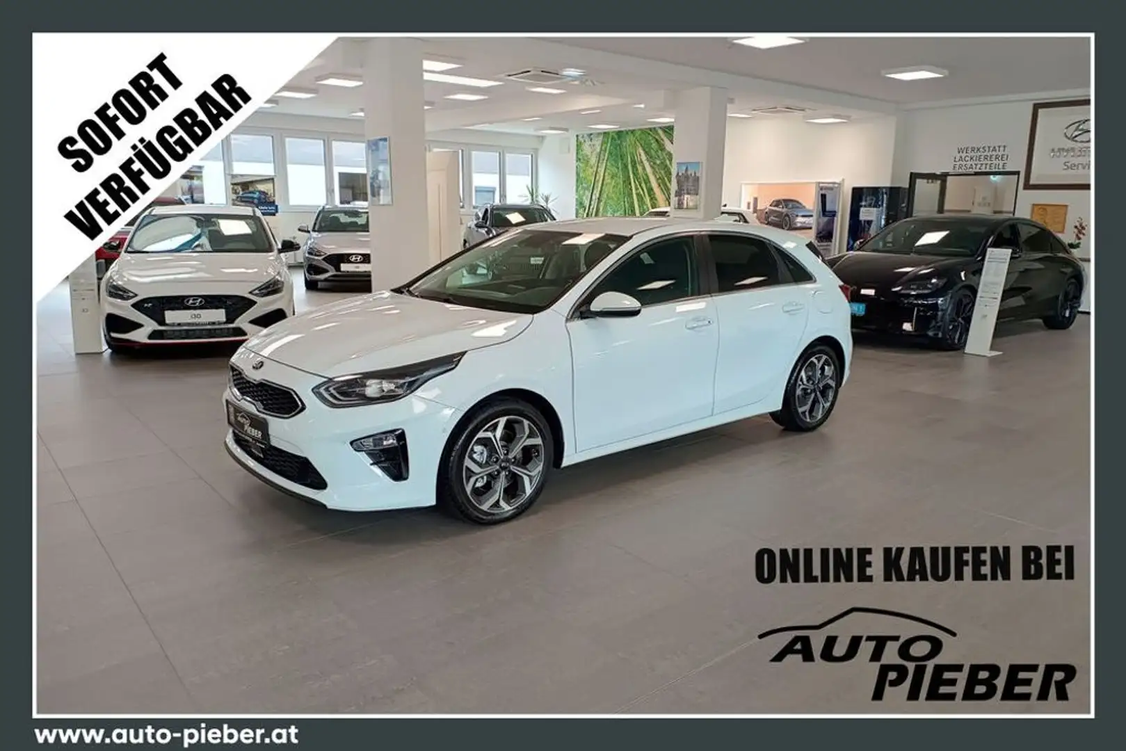 Kia Ceed / cee'd Platin 1,6 CRDi DCT *AHK*Navi*Leder* Bianco - 1