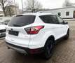 Ford Kuga 1.5 EcoBoost|KLIMA|PARKASSISTENT|1.HAND|EU6 Weiß - thumbnail 13