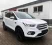Ford Kuga 1.5 EcoBoost|KLIMA|PARKASSISTENT|1.HAND|EU6 Weiß - thumbnail 1