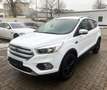 Ford Kuga 1.5 EcoBoost|KLIMA|PARKASSISTENT|1.HAND|EU6 Weiß - thumbnail 3
