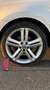 Volkswagen Polo Polo 1.2 TSI 105 Sportline DSG7 Blanc - thumbnail 9