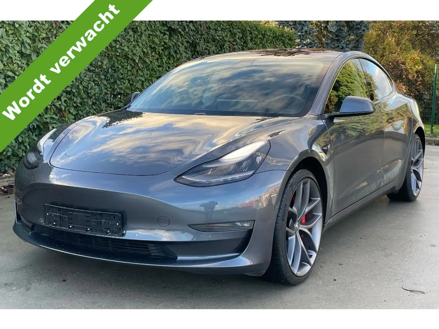 Tesla Model 3 Performance AWD 75 kWh Grijs - 1