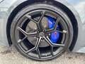 Audi RS6 RS6 Avant performance quattro KERAMIK VMax 305 R Grau - thumbnail 5