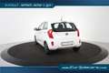 Kia Picanto 1.0 CVVT *Klima* Weiß - thumbnail 6