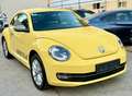 Volkswagen Beetle 1,2 TSI Design TURBO **FRISCHES PICKERL 6/26+4** - thumbnail 7