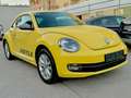 Volkswagen Beetle 1,2 TSI Design TURBO **FRISCHES PICKERL 6/26+4** - thumbnail 6