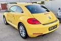 Volkswagen Beetle 1,2 TSI Design TURBO **FRISCHES PICKERL 6/26+4** - thumbnail 9