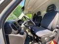 Iveco Daily L2H2 Phase 2 Fg 35S14 2.3 D 136 ch Prix HT Weiß - thumbnail 12