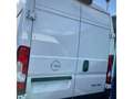Opel Movano Kasten L2H2 3,3 to zGG. 140 PS -10 x vorhanden! Weiß - thumbnail 3