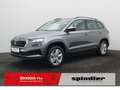 Skoda Karoq Selection 2.0 TDI 4x4 DSG / LED, Tempomat Grau - thumbnail 1