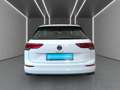 Volkswagen Golf VIII Var. 2.0 TDI LIFE DSG AHK*Navi*LED*ACC Weiß - thumbnail 6